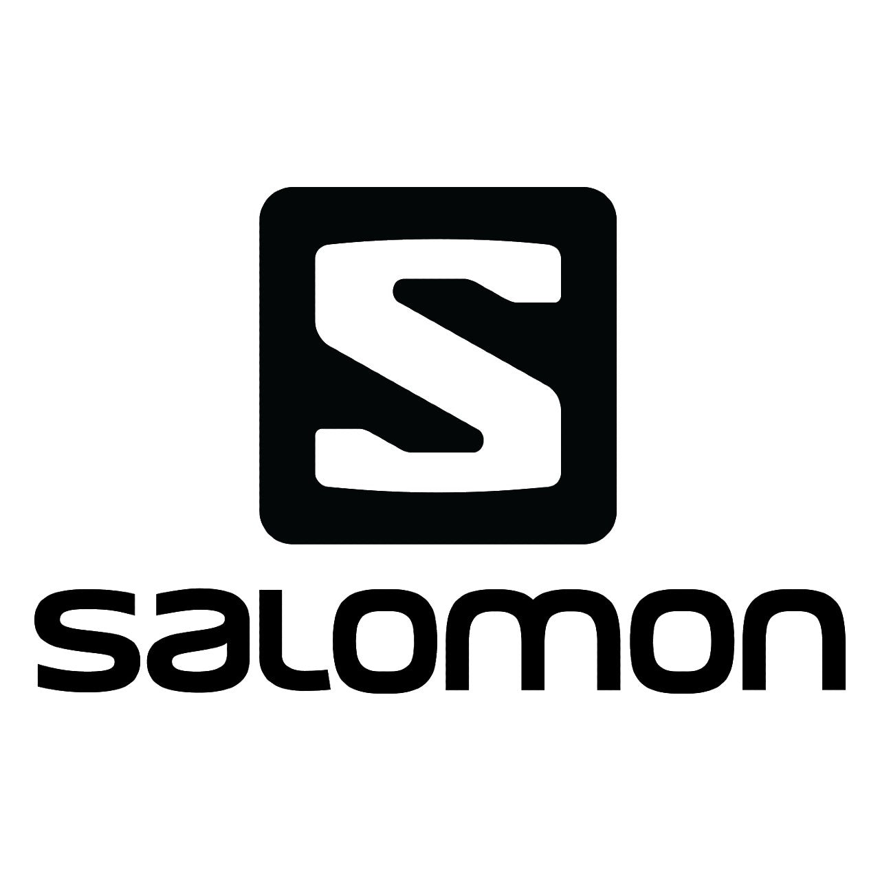 Salomon Snowboards 