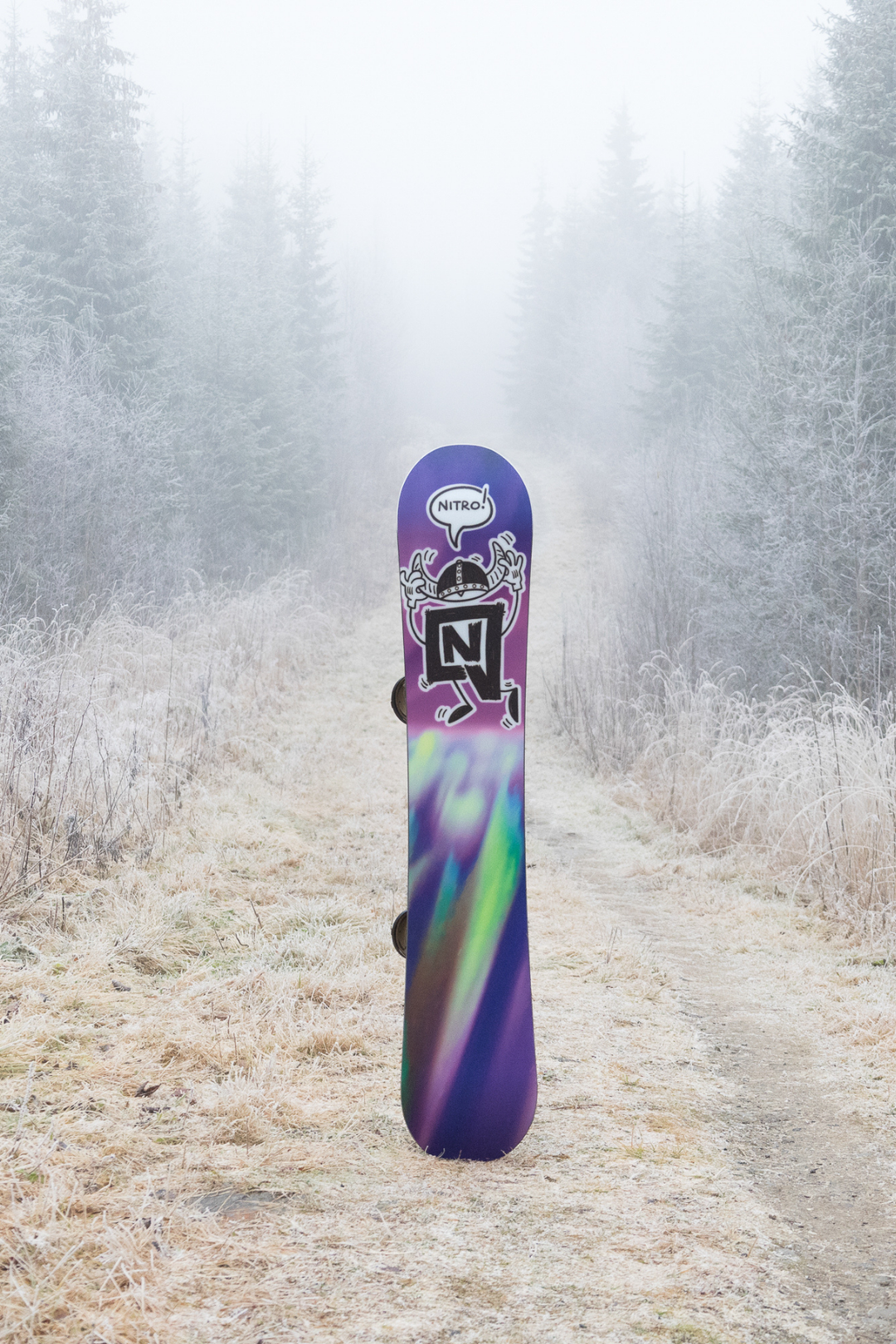 Nitro Team Pro MK Snowboard 2026 - 88 Gear