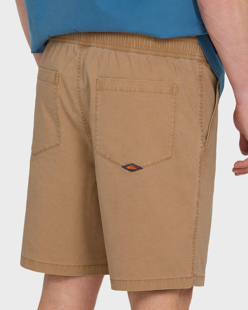Quiksilver Saltwater Shorts