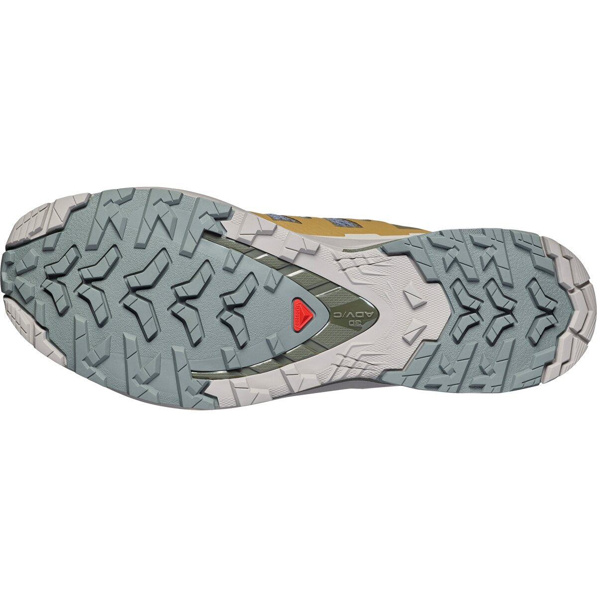 Salomon XA Pro 3d V9 Men's Shoe