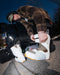ThirtyTwo TM ZB1 BOA Snowboard Boots 26 - 88 Gear