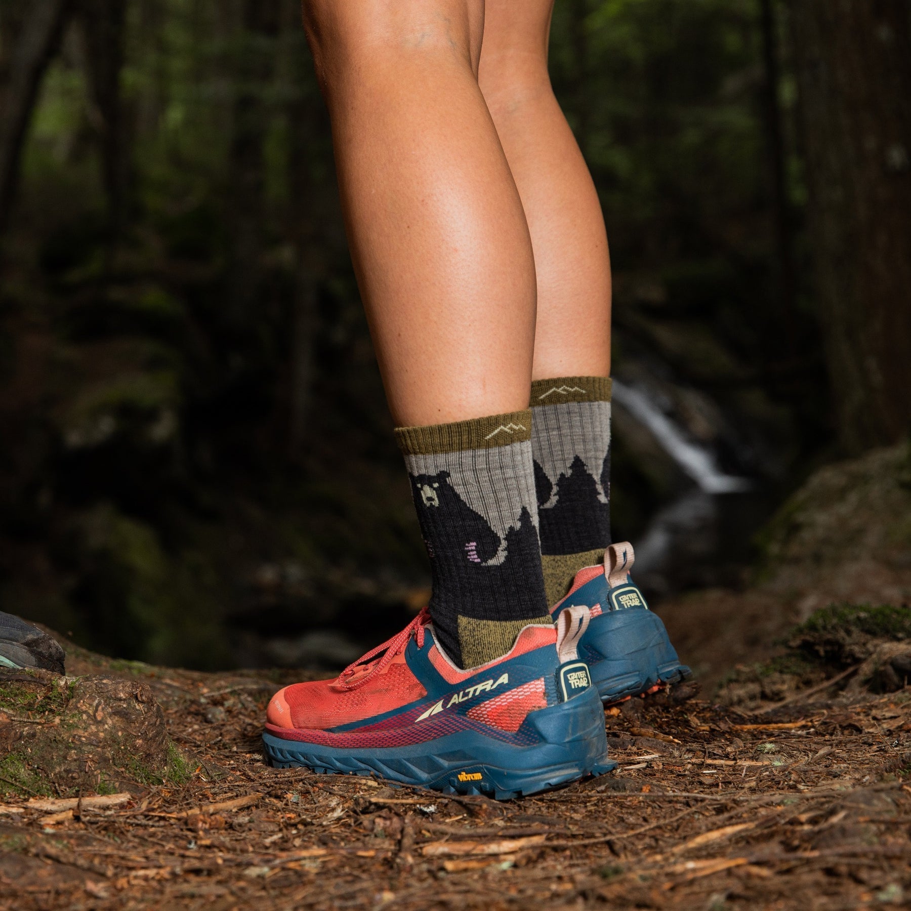 Darn Tough Women's Bear Town Micro Crew Socks - 88 Gear