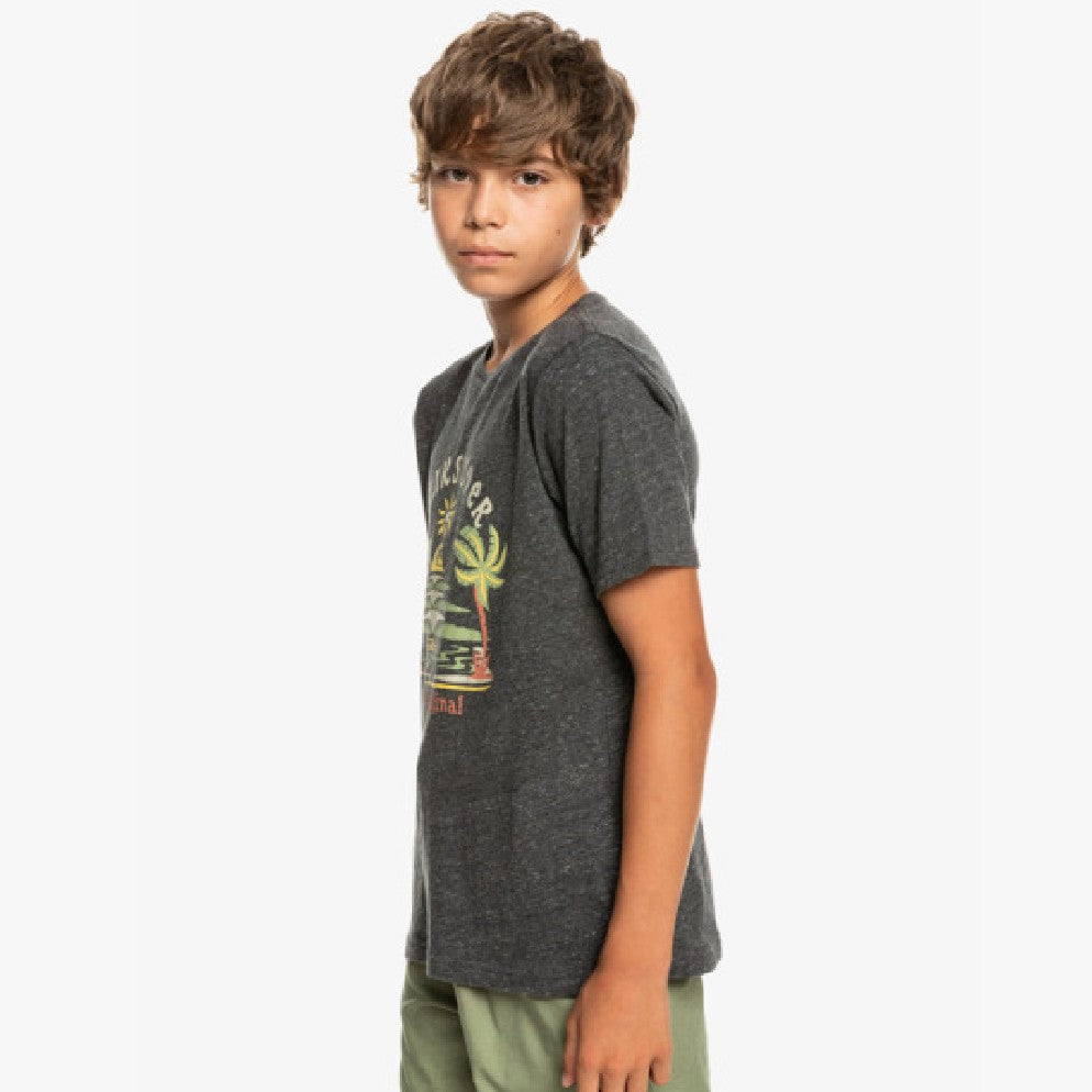 Quiksilver Strange Days Boys T-Shirt - 88 Gear