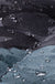 686 Waterproof Hooded Puffer Blanket