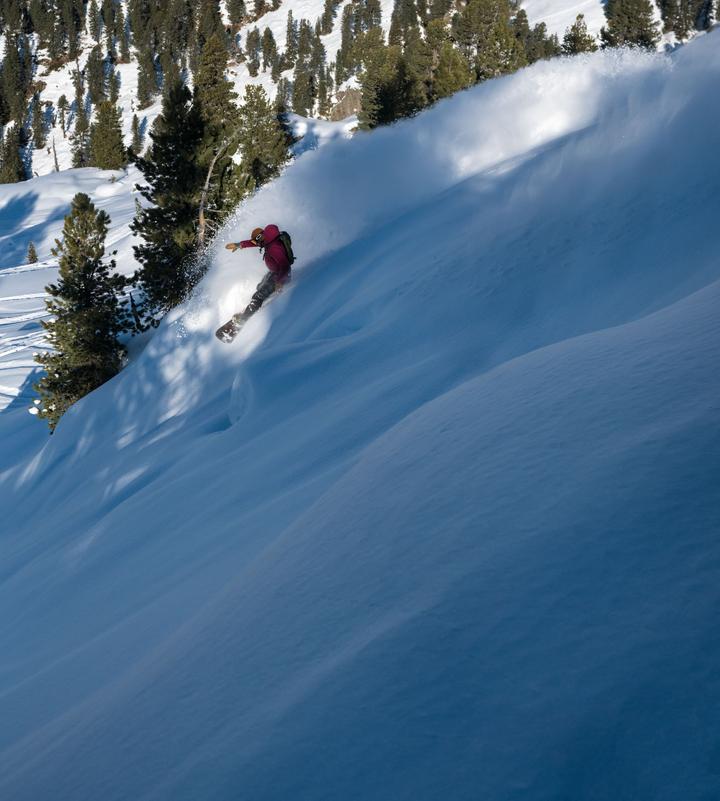 Arbor Sequoia Snowboard Bindings 2022