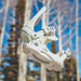 Arbor Sequoia Snowboard Bindings 2022