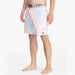 Billabong Sundays Lo Tide 19" Boardshorts