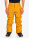 Quiksilver Estate Youth Snow Pants - 88 Gear