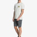 Quiksilver Everyday Union Stretch Shorts
