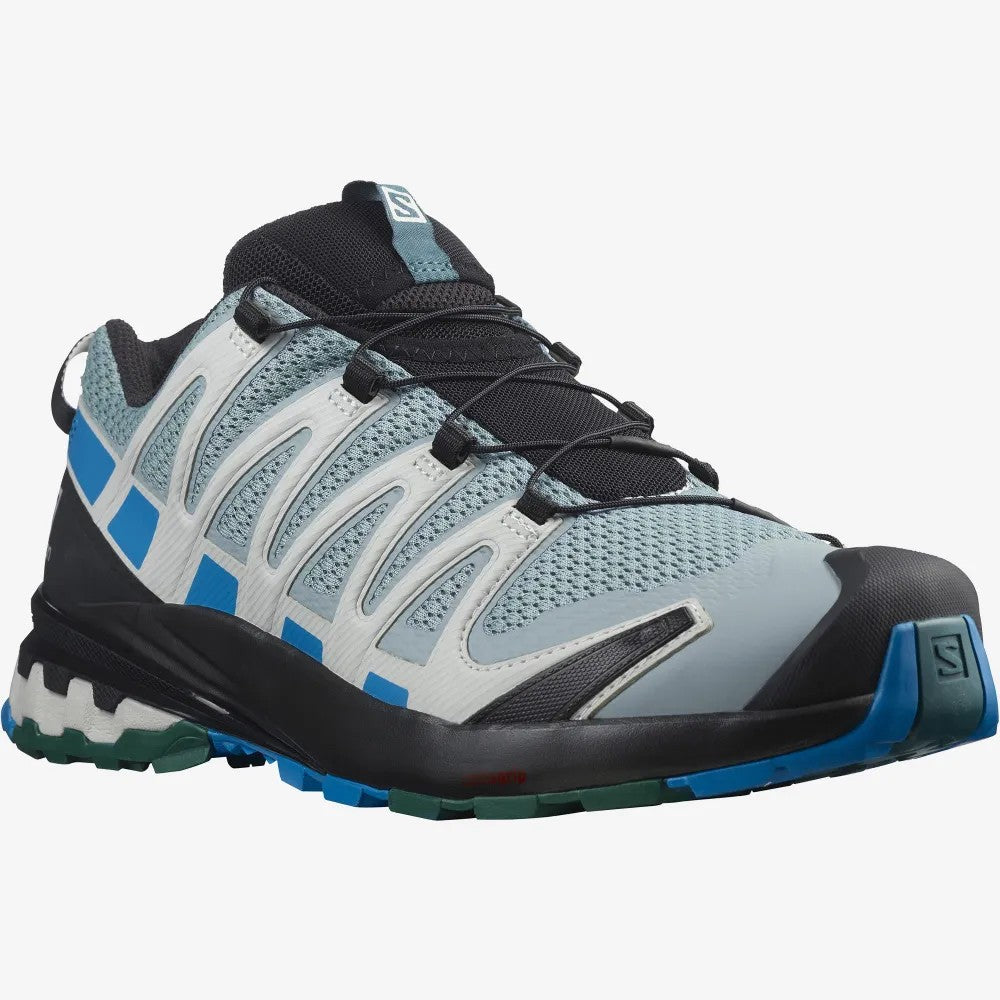 Salomon XA Pro 3D V8 Shoes