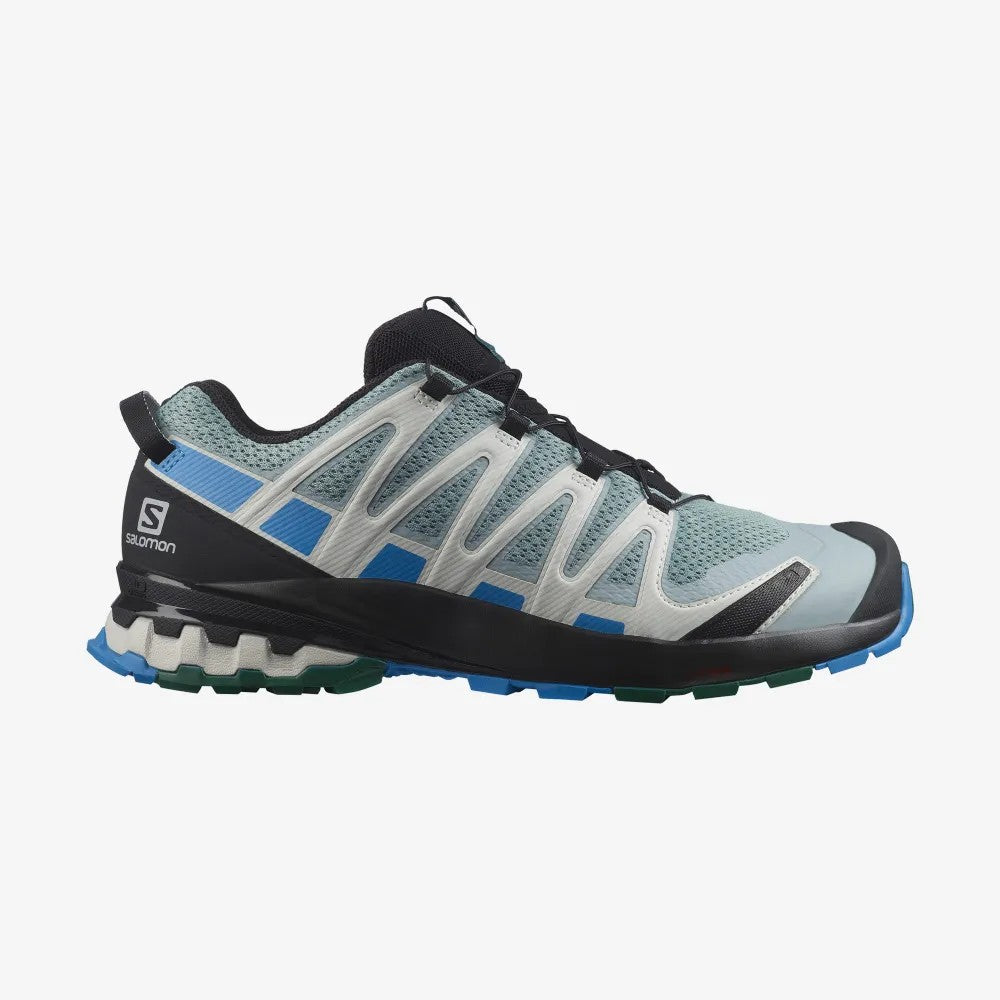 Salomon XA Pro 3D V8 Shoes