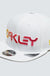 Oakley 6 Panel Gradient Hat