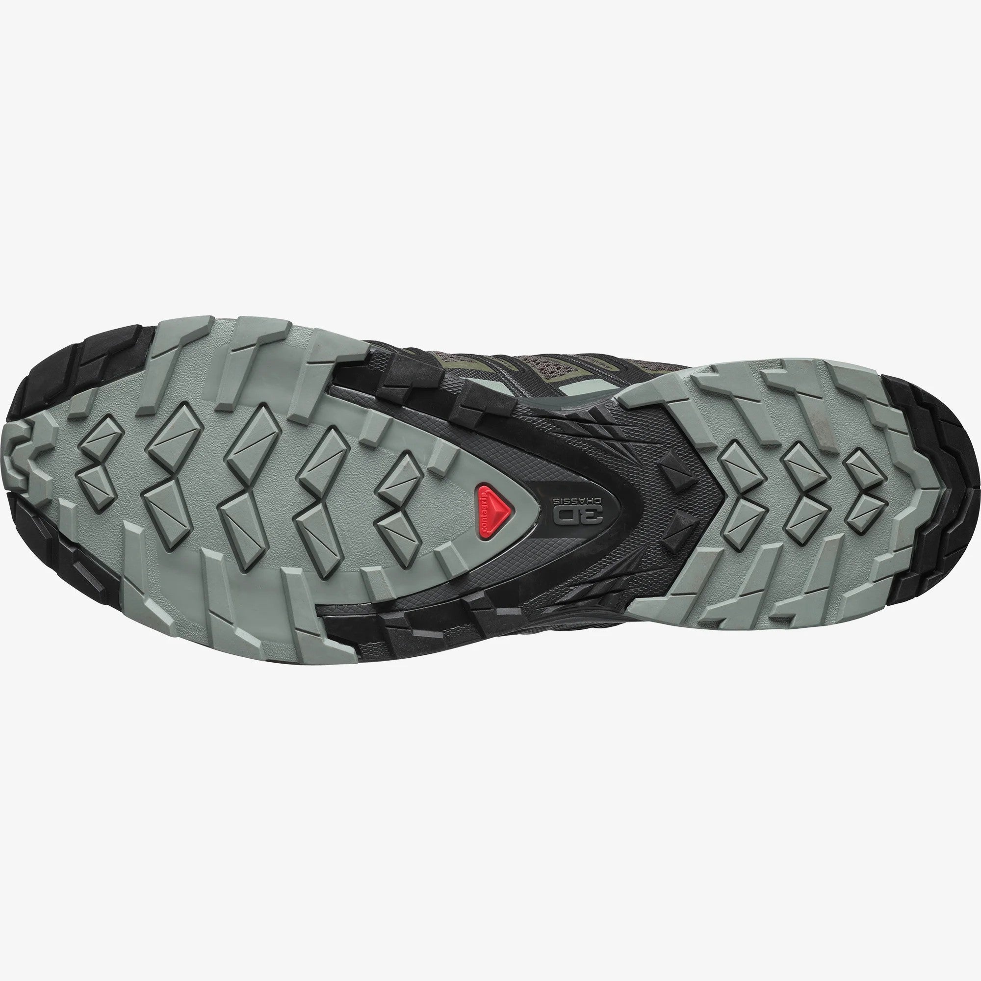 Salomon XA Pro 3D v8 Shoes - 88 Gear