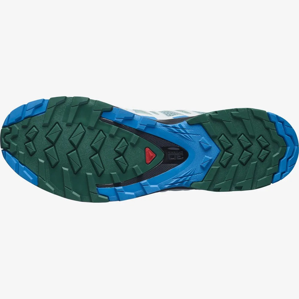 Salomon XA Pro 3D V8 Shoes