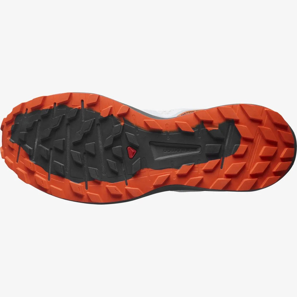 Salomon Sense Ride 4 Shoes