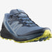 Salomon Sense Ride 4 Shoes