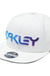 Oakley 6 Panel Gradient Hat - 88 Gear